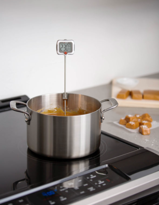 Gourmet Deep Fry / Candy Digital Thermometer - HTSS