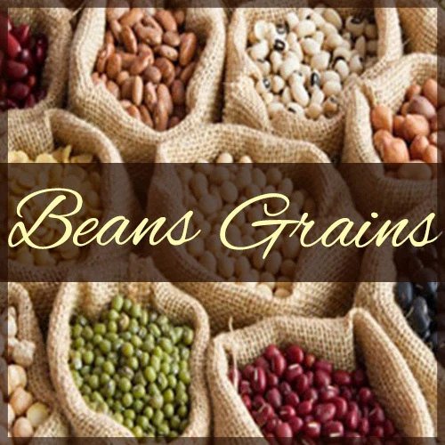 BEANS AND GRAINS – Surfas Online